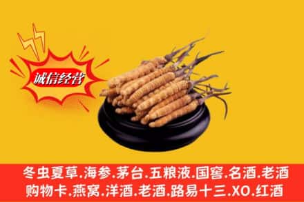 崇左市大新名酒回收冬虫夏草.jpg